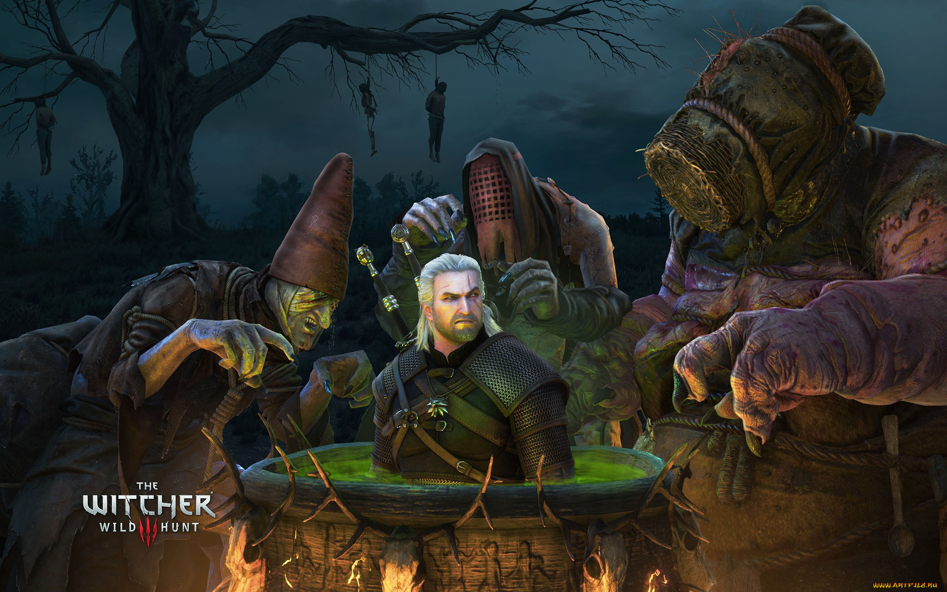  , the witcher 3,  wild hunt, 